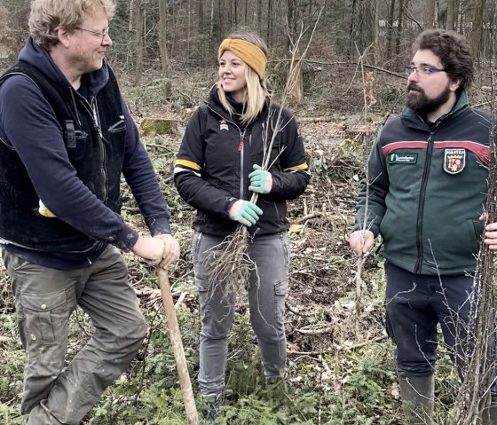 Unter der Leitung von Förster Julian Gröber haben viele Freiwillige bei der Baumpflanzaktion in Ernzen geholfen. (v. l. n. r.: Bruno Zwank (Geschäftsführer der Felsenland Südeifel Tourismus GmbH), Anna Carina Krebs (Tourismusmanagerin der Felsenland Südeifel Tourismus GmbH) und Julian Gröber (Revierförster)., ©  Felsenland Südeifel Tourismus GmbH 