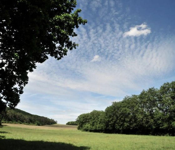 TollerHimmel