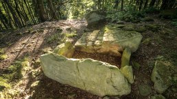 Steinkistengrab bei Schankweiler, © Eifel Tourismus GmbH, D. Ketz