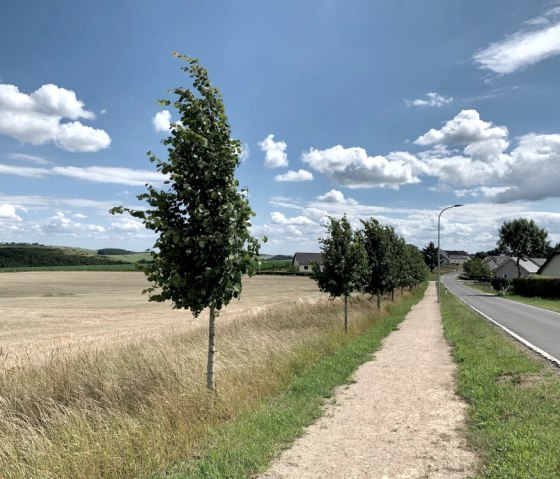 Komfort-Weg Ammeldingen, © Naturpark Südeifel/Ansgar Dondelinger