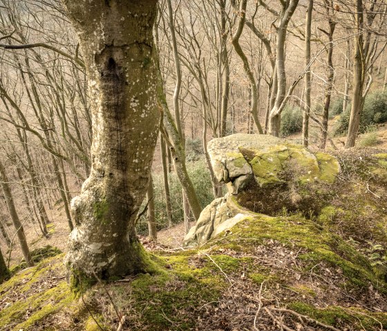 Rocks on the Felsenweg 5 - Prüm Castle