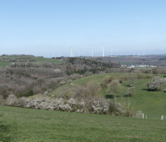 Islekhöhe bei Oberpierscheid, © Tourist-Information Islek