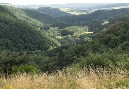 Blick übers Alsbachtal, © V. Teuschler