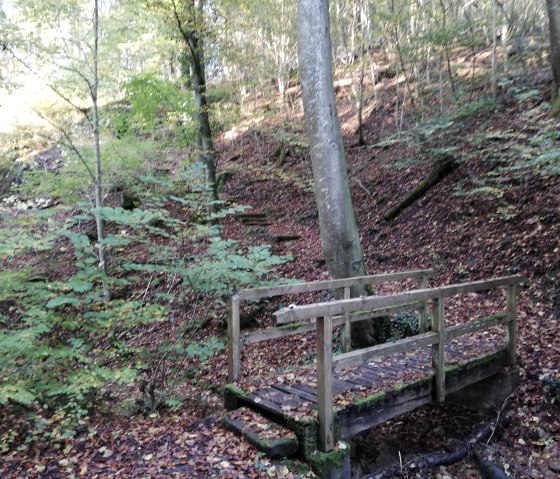 Naturpark Südeifel 70, © Reinhold Hansen