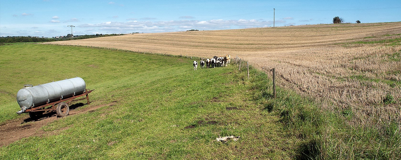 Felder bei Geichlingen, © V. Teuschler