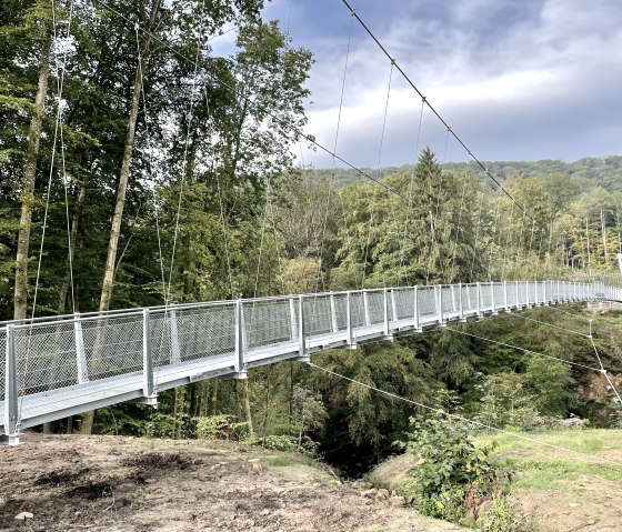 Hängebrücke über den Irreler Wasserfällen., © Naturpark Südeifel/Ansgar Dondelinger
