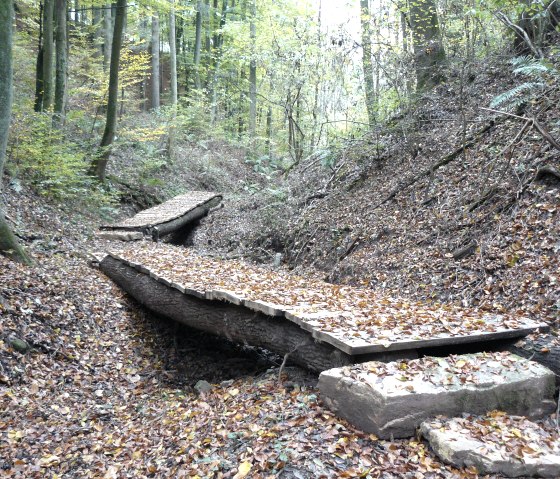 Der Bohlenweg führt bis zur Niehler Straße, © Felsenland Südeifel Tourismus GmbH, Christian Calonec-Rauchfuss