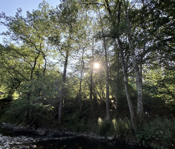 Busbach, © Ingo Kleis