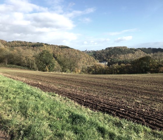 Wanderweg im Herbst