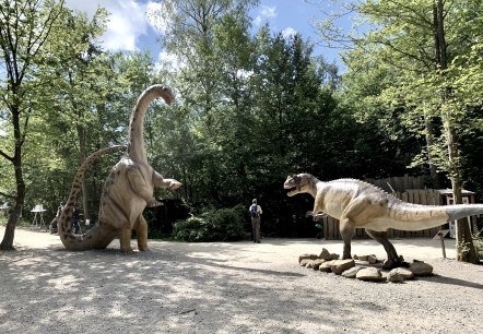 Dinosaurierpark Teufelsschlucht, © Naturpark Südeifel/Ansgar Dondelinger