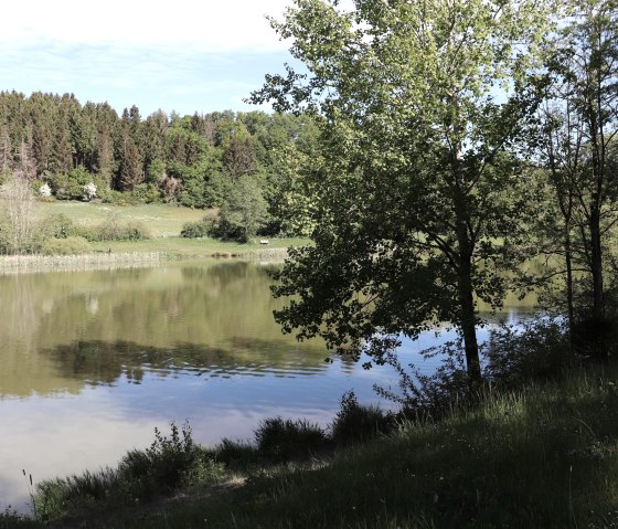 Stausee Arzfeld, © Tourist-Info Islek