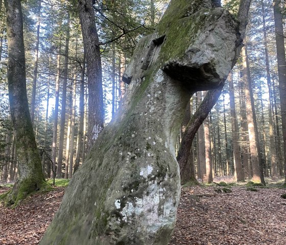 Fraubille cross forest, © Felsenland Südeifel Tourismus GmbH / Anna Carina Krebs