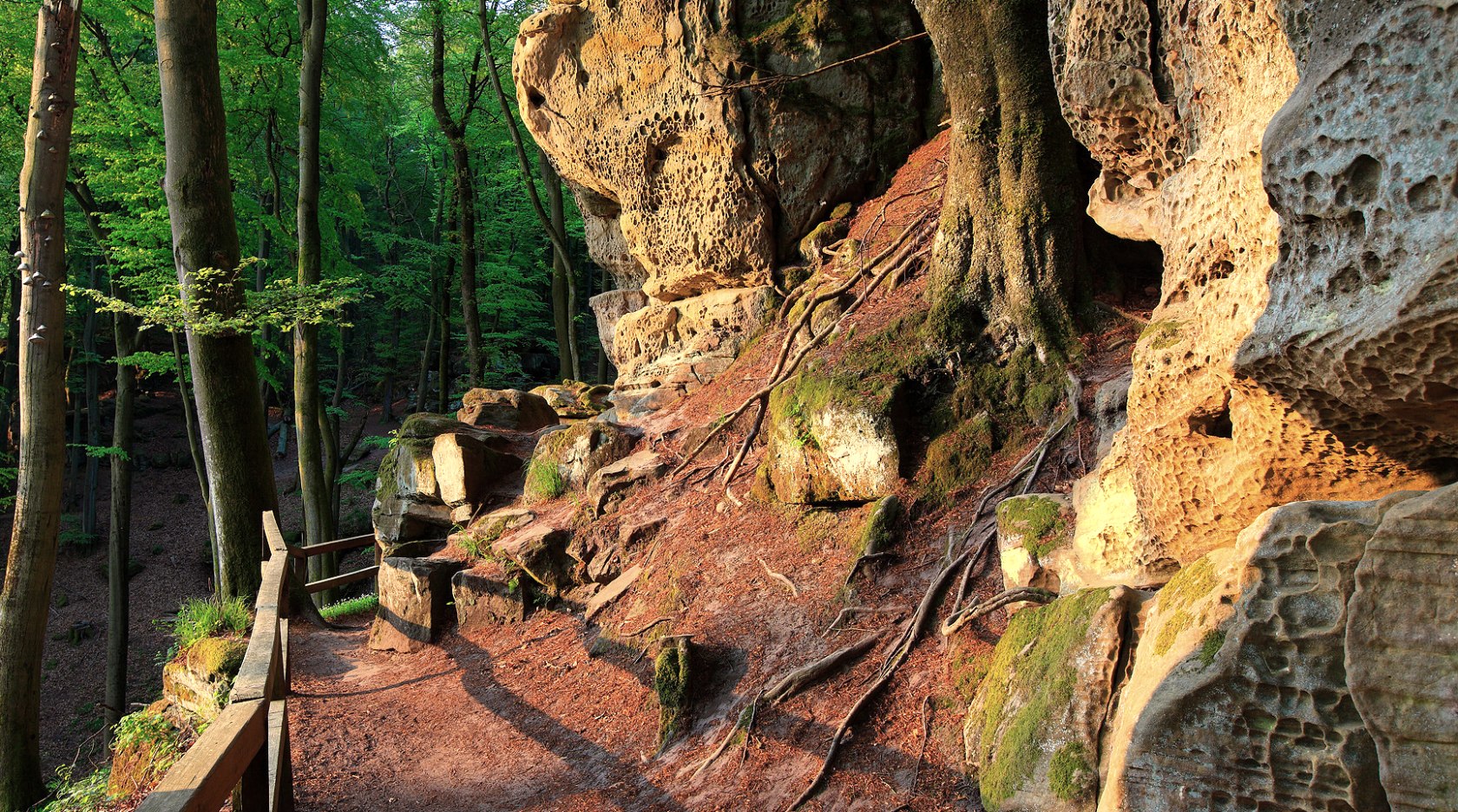 Felsenweg 6 im NaturWanderPark delux, © NP Südeifel ZV / Charly Schleder