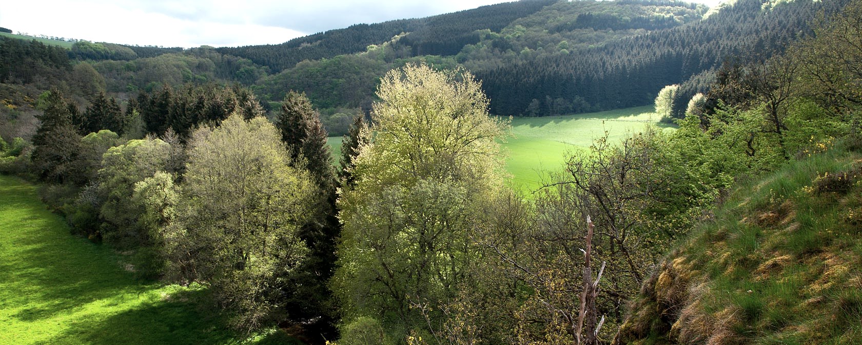 Irsental bei Daleiden, © V. Teuschler