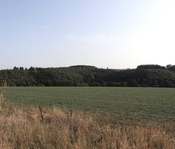 Wanderweg Nr. 2 bei Dahnen, © Tourist-Info Islek