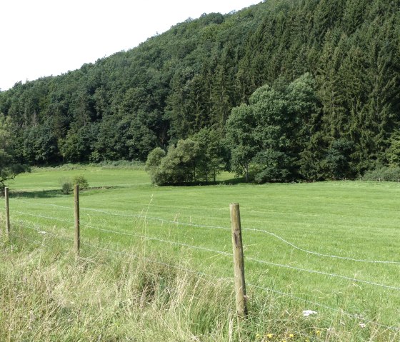 Wiesen und bewaldete Hänge bei Irrhausen, © Tourist-Information Islek