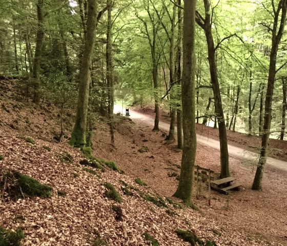 Blick vom Wall der Wikingerburg, © Felsenland Südeifel Tourismus GmbH