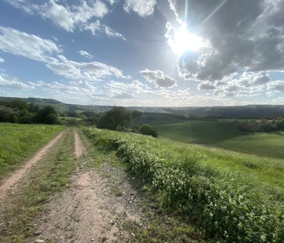 Fabelhafte Aussichten auf dem Rundwanderweg Nr. 84 des Naturpark Südeifel, © Felsenland Südeifel Tourismus, Anna Carina Krebs