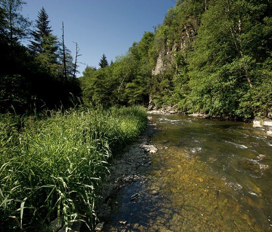 Die Our auf der Nat'Our Route 1 - Dreiländereck, © Naturpark Südeifel, R. Clement