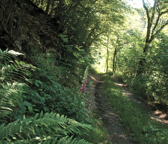 Irsenpfad, © Naturpark Südeifel, Joelle Mathias