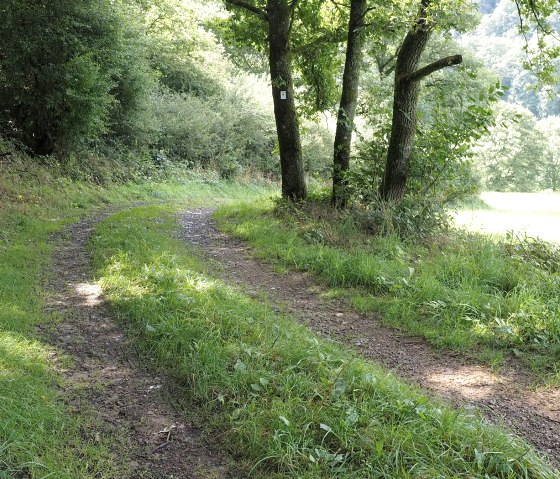 Wanderweg im Ourtal, © V. Teuschler