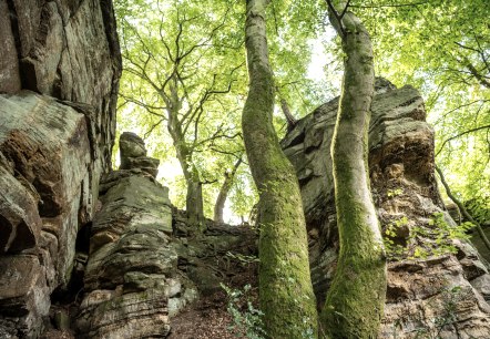 Felsen bei der Mandrack Passage im NaturWanderPark delux, © Eifel Tourismus GmbH, D. Ketz