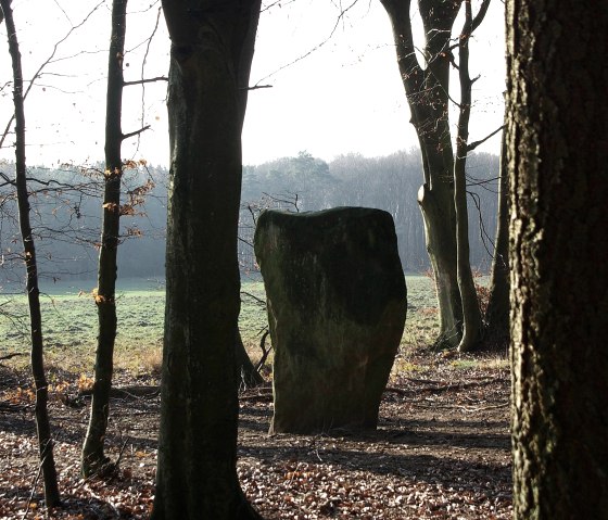 Winter sun - Druid stone near Bollendorf, © Elke Wagner