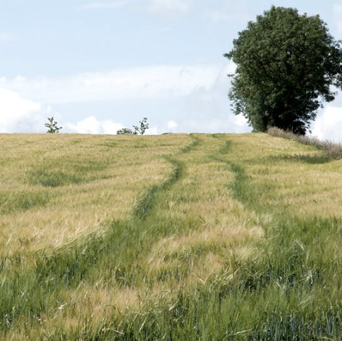 Eifel, © V. Teuschler