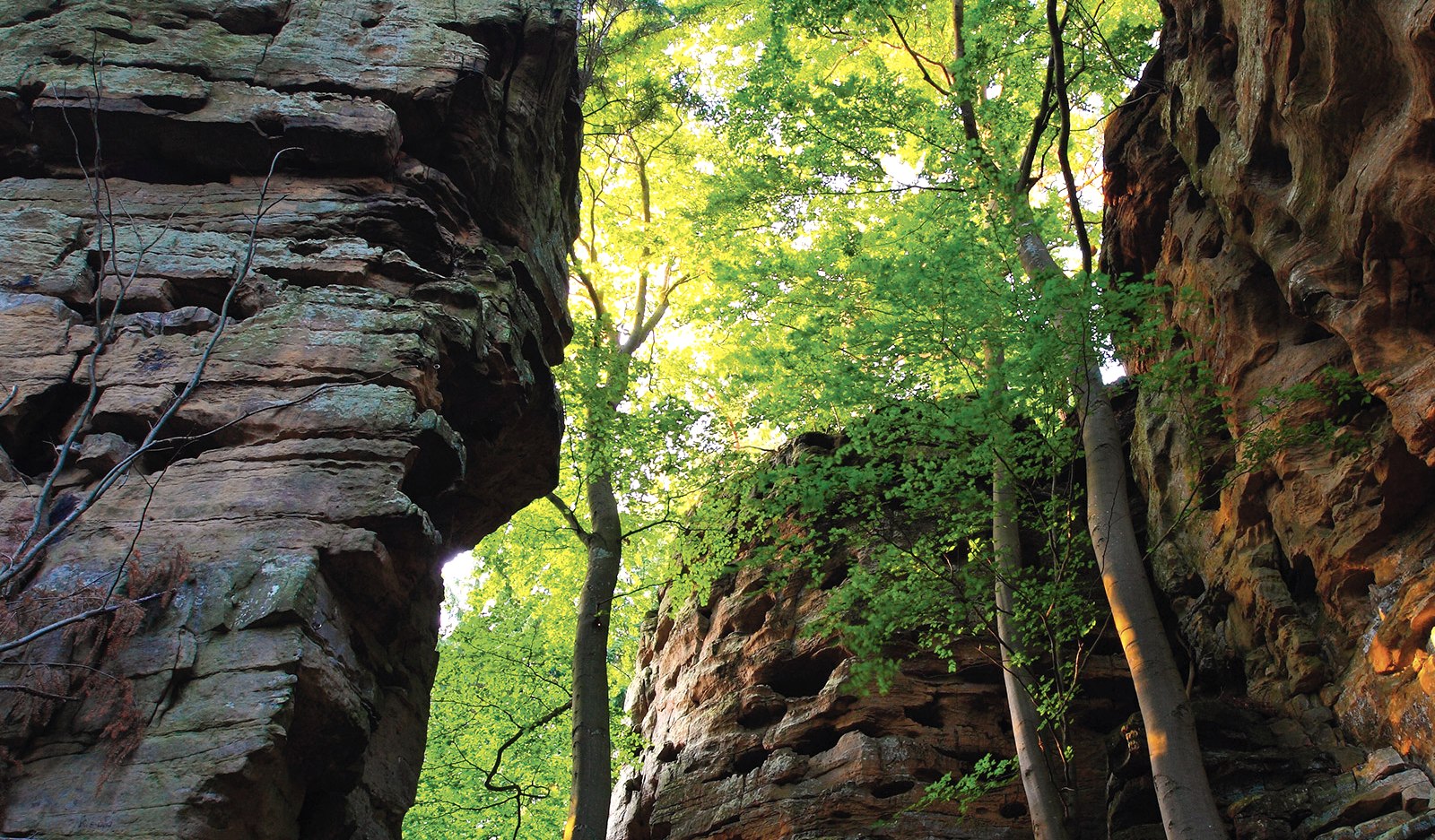 Felsenweg 3 im NaturWanderPark delux, © NP Südeifel ZV / Charly Schleder