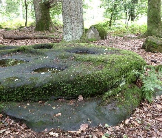 galloroemische-kiesgraeber-bei-bollendorf-vertiefungen-im-fels-zur, © Elke Wagner, Felsenland Südeifel Tourismus GmbH