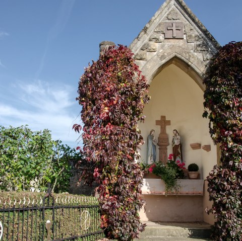 Kapelle in Wolsfeld - Alpaka auf der Wiese - Bitburger LandGang Wolsfeld - Denkmal Tour, © Tourist-Information Bitburger Land