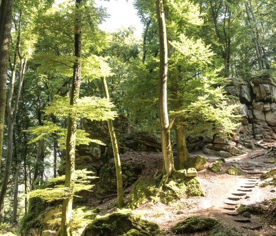 Felsenlandschaft rund um die Teufelsschlucht, © Rheinland-Pfalz Tourismus GmbH, D. Ketz