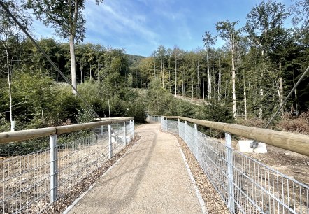 Weg zur Hängebrücke, © Naturpark Südeifel/Ansgar Dondelinger