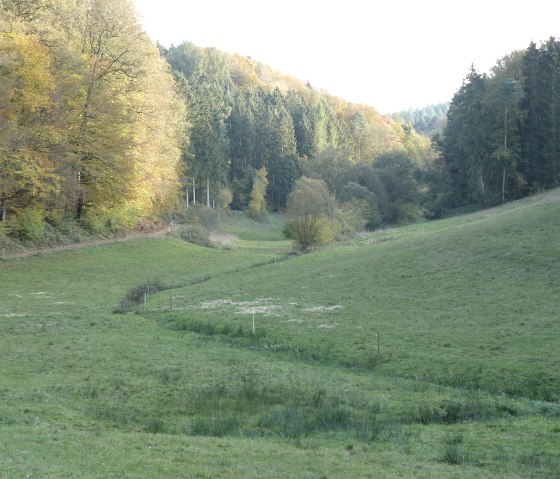 Liebliches Alsbachtal, © Felsenland Südeifel Tourismus GmbH, Christian Calonec-Rauchfuss