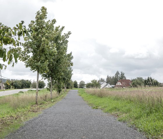 Komfort-Weg Daleiden, © Naturpark Südeifel/Thomas Urbany