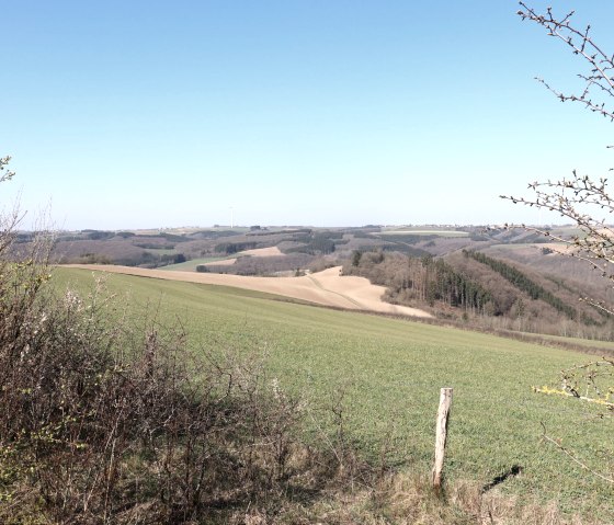 Wanderweg 1 bei Dahnen, © Tourist-Info islek