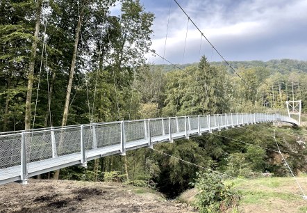 Hängebrücke über den Irreler Wasserfällen., © Naturpark Südeifel/Ansgar Dondelinger