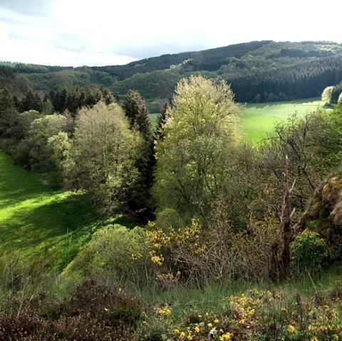 Irsental bei Daleiden, © V. Teuschler