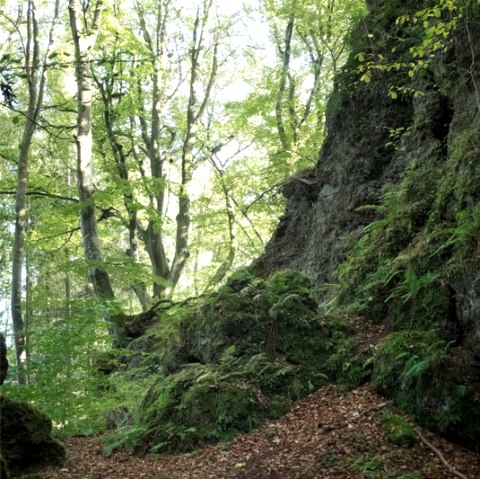 Wanderwege im Naturpark Südeifel, © Volker Teuschler