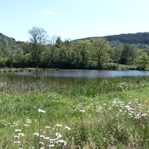 Stausee Irrhausen, © Tourist-Info Islek