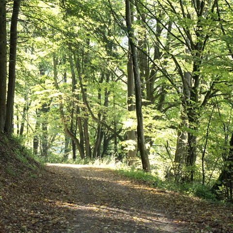 Im Mühlbachtal, © V. Teuschler