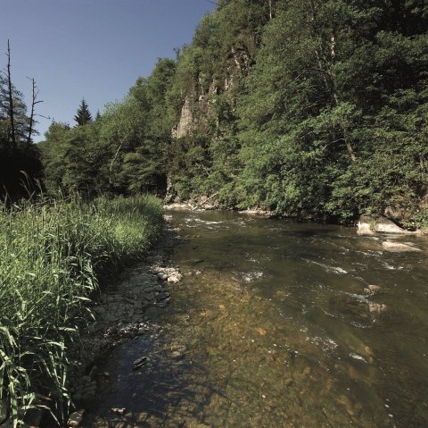 die Our im Sonnenschein, © ZV Naturpark Südeifel, Raymond Clement