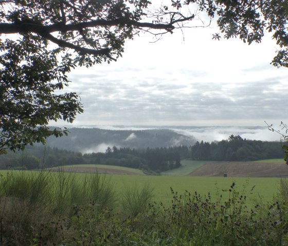 Nebel im Tal bei Dasburg, © Tourist-Information Islek