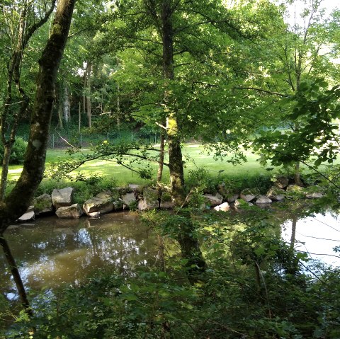 Fluss Prüm, © Naturpark Südeifel/Indra Schaperdoth