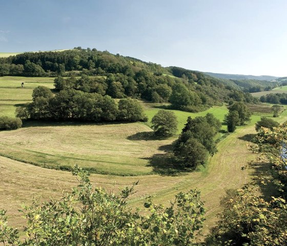 Naturpark Südeifel - NaturWanderPark, © Pierre Haas