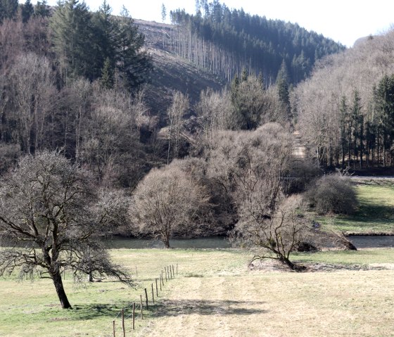 Ourtal am Wanderweg bei Dasburg, © Tourist-Information Islek