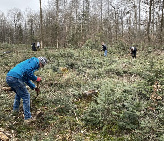 Dank vieler Freiwilliger sollen auf dieser Fläche nahe der Teufelsschlucht bald wieder Bäume stehen., © Felsenland Südeifel Tourismus GmbH