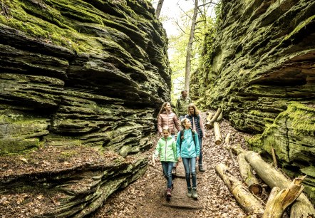 Grüne-Hölle-Tour Bollendorf, © Eifel Tourismus GmbH/Dominik Ketz.