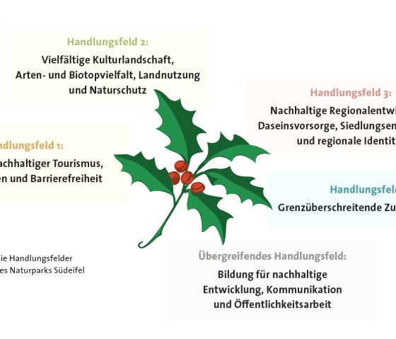 Handlungsfelder Naturparkplan Südeifel 2030