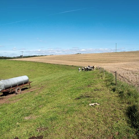 Felder bei Geichlingen, © V. Teuschler